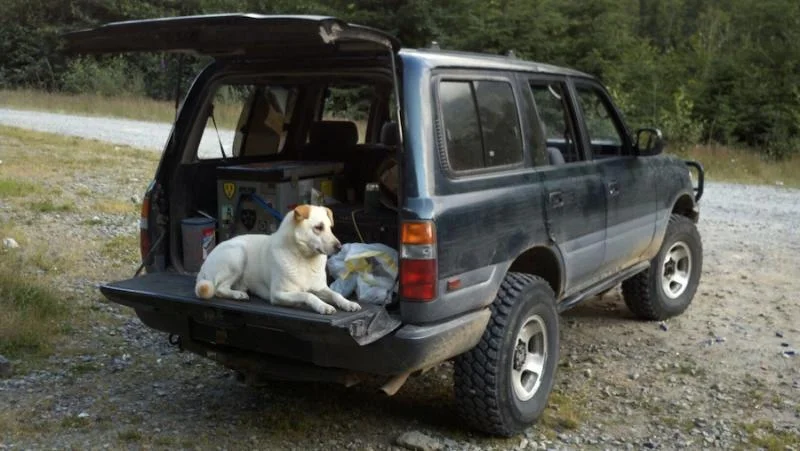 floydtailgate.webp