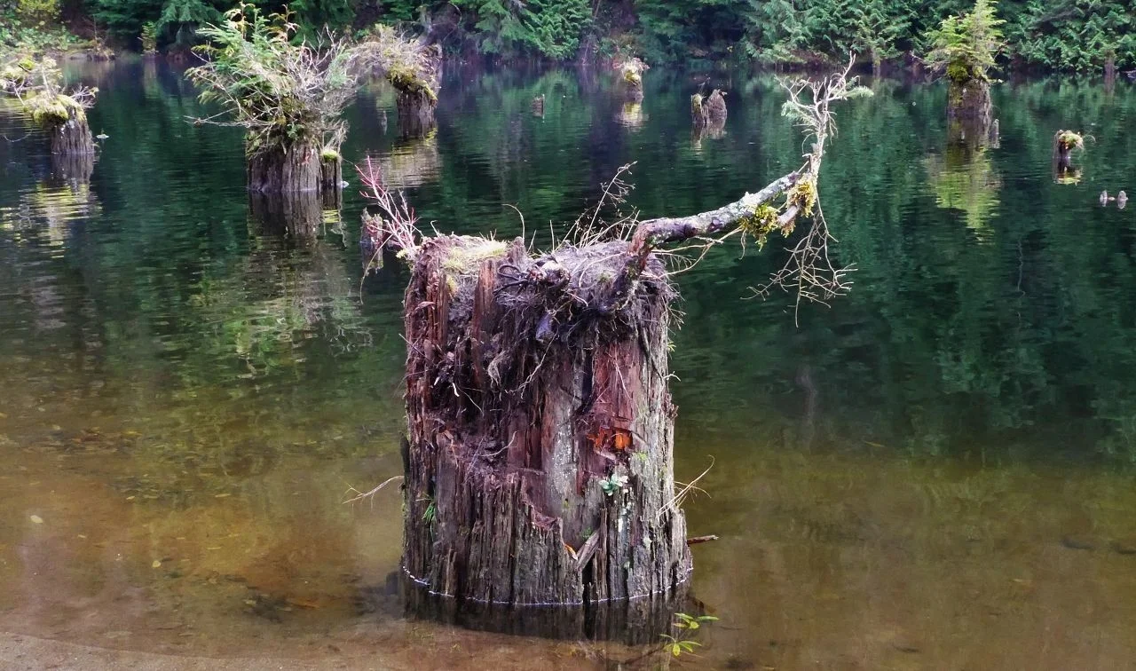 Foley Lake3 (1280x756).webp