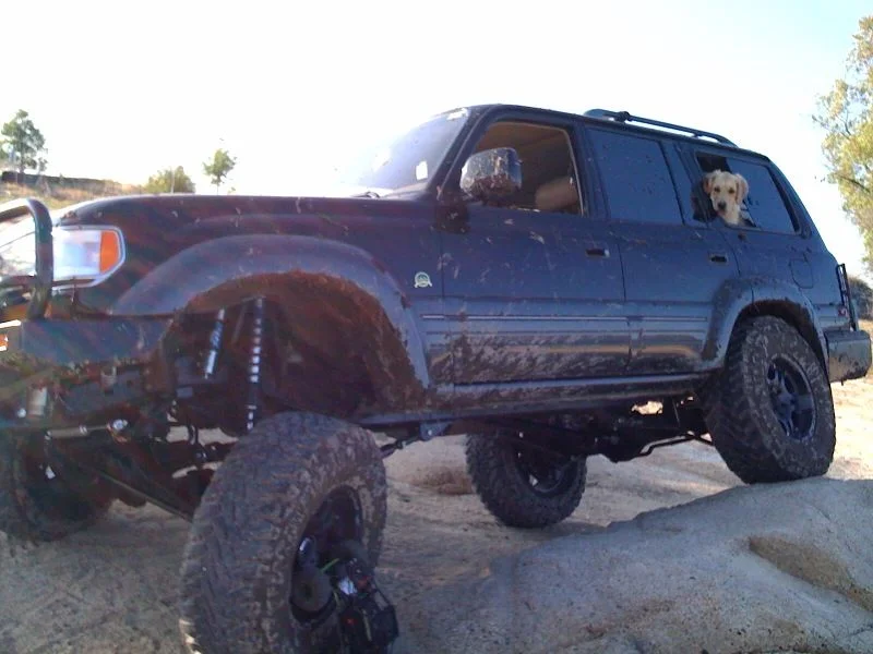 folsom9.webp
