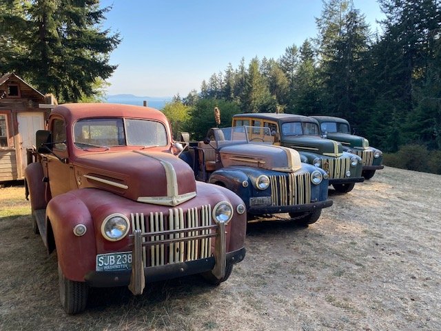 Ford lineup in fall A.jpg