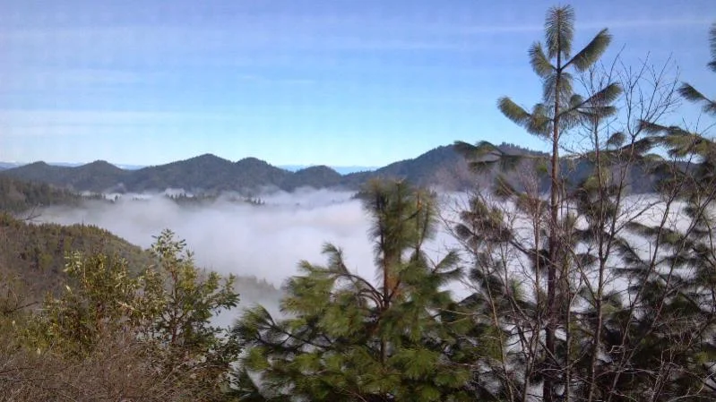 ForumRunner_20130204_210304.webp