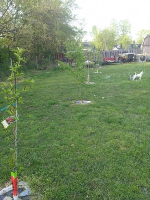 ForumRunner_20130505_155550.webp