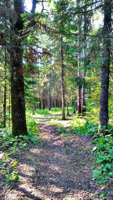 ForumRunner_20130707_132549.webp