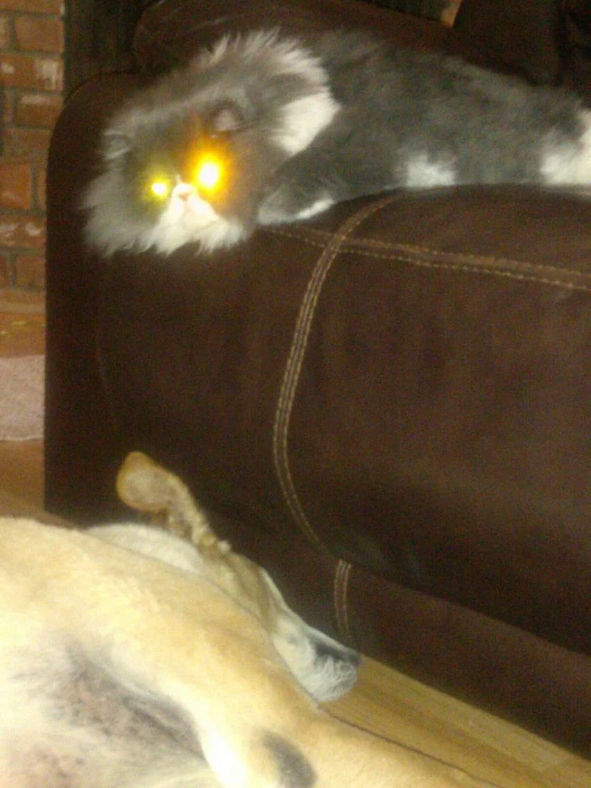 friggin' lazer vision.webp
