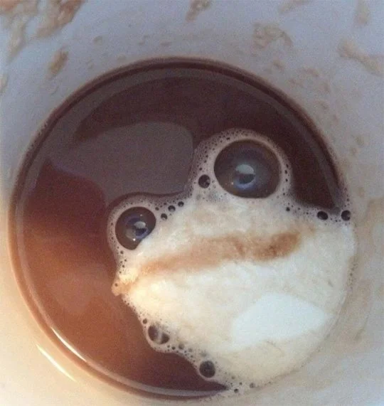 frog.webp