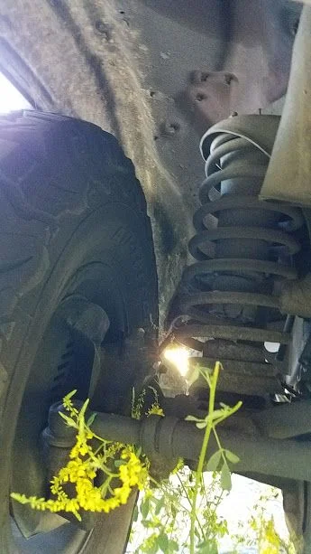 Front right wheel wheel.webp