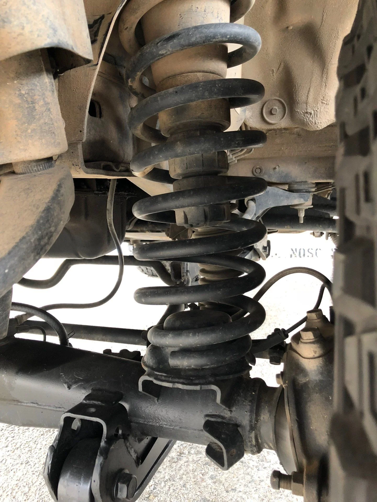 front spring.webp