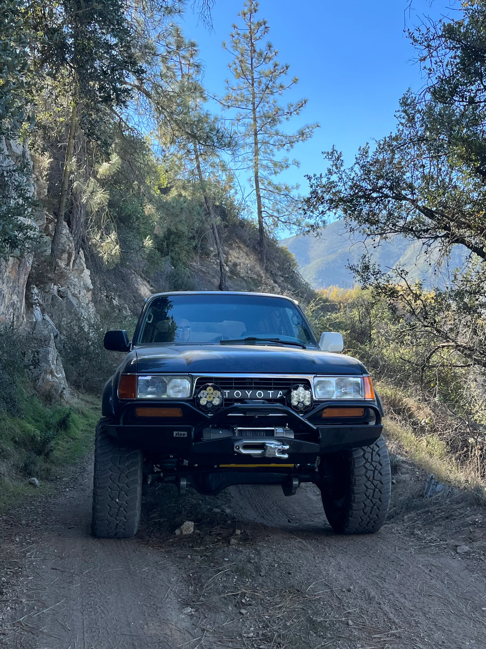 CA 1993 FZJ80