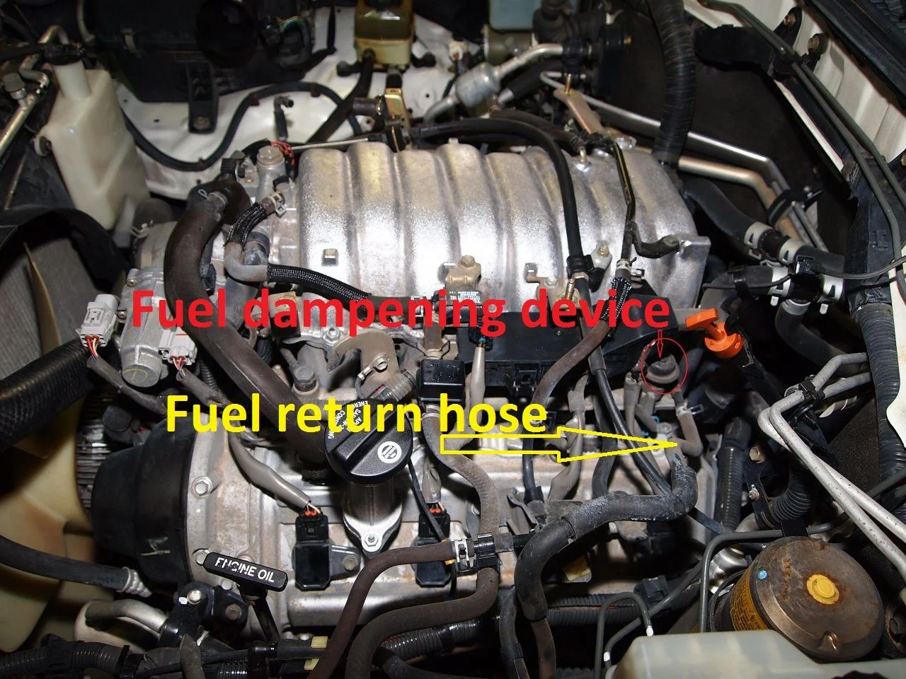 Fuel Dampening device and Return line.JPG
