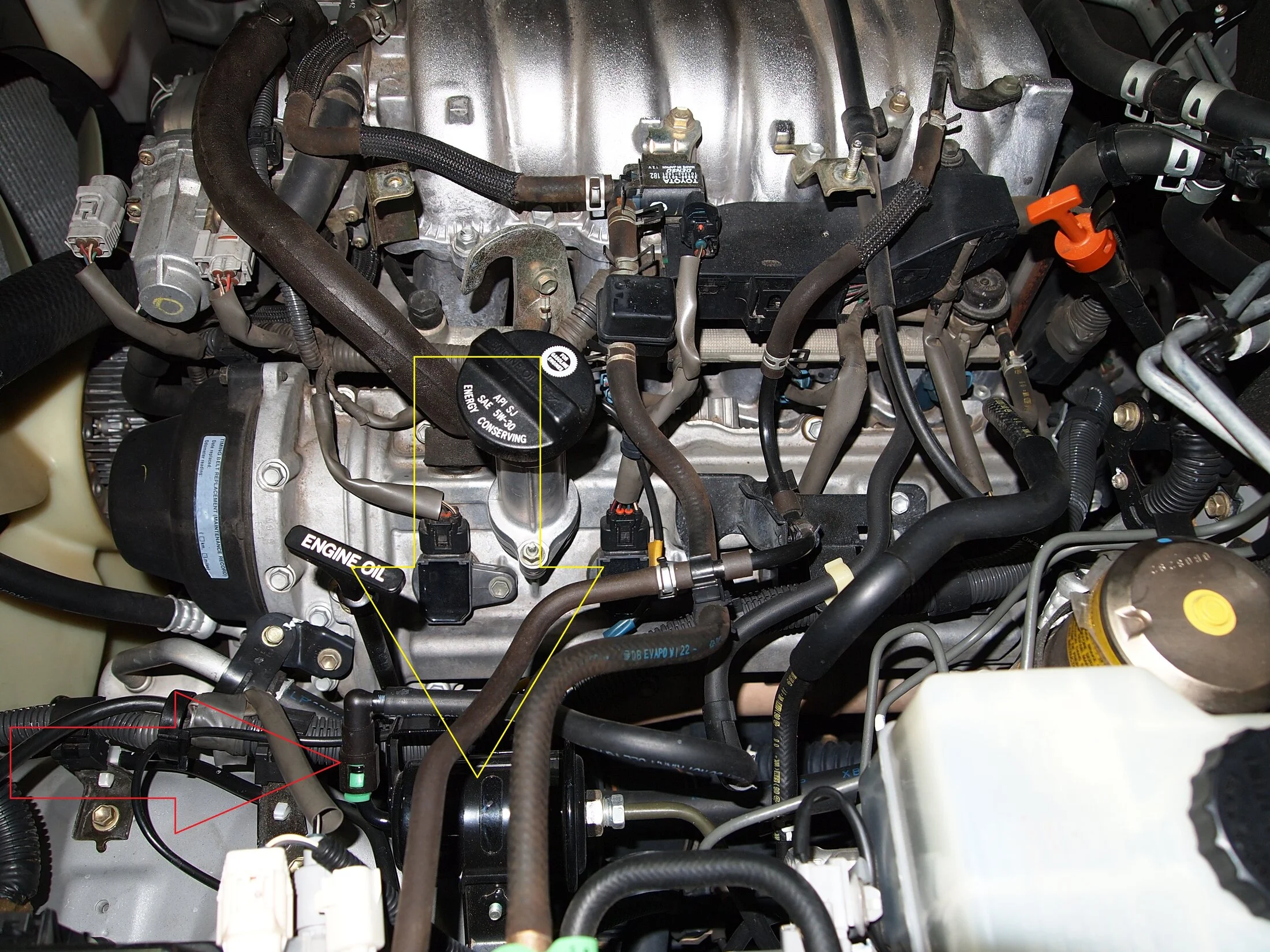 Fuel filter.jpg