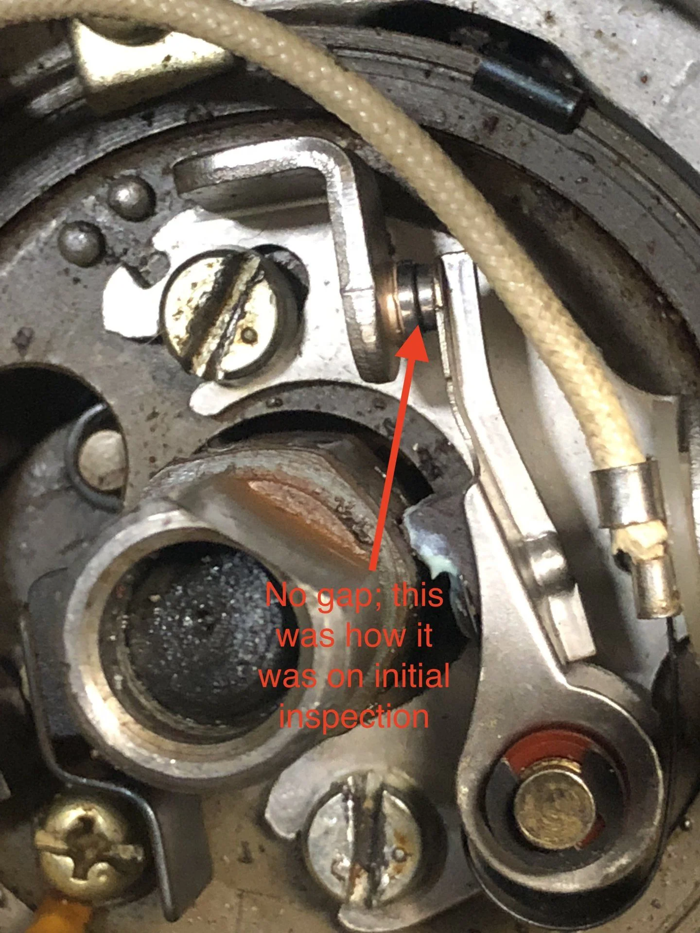 fullsizeoutput_67eb.webp