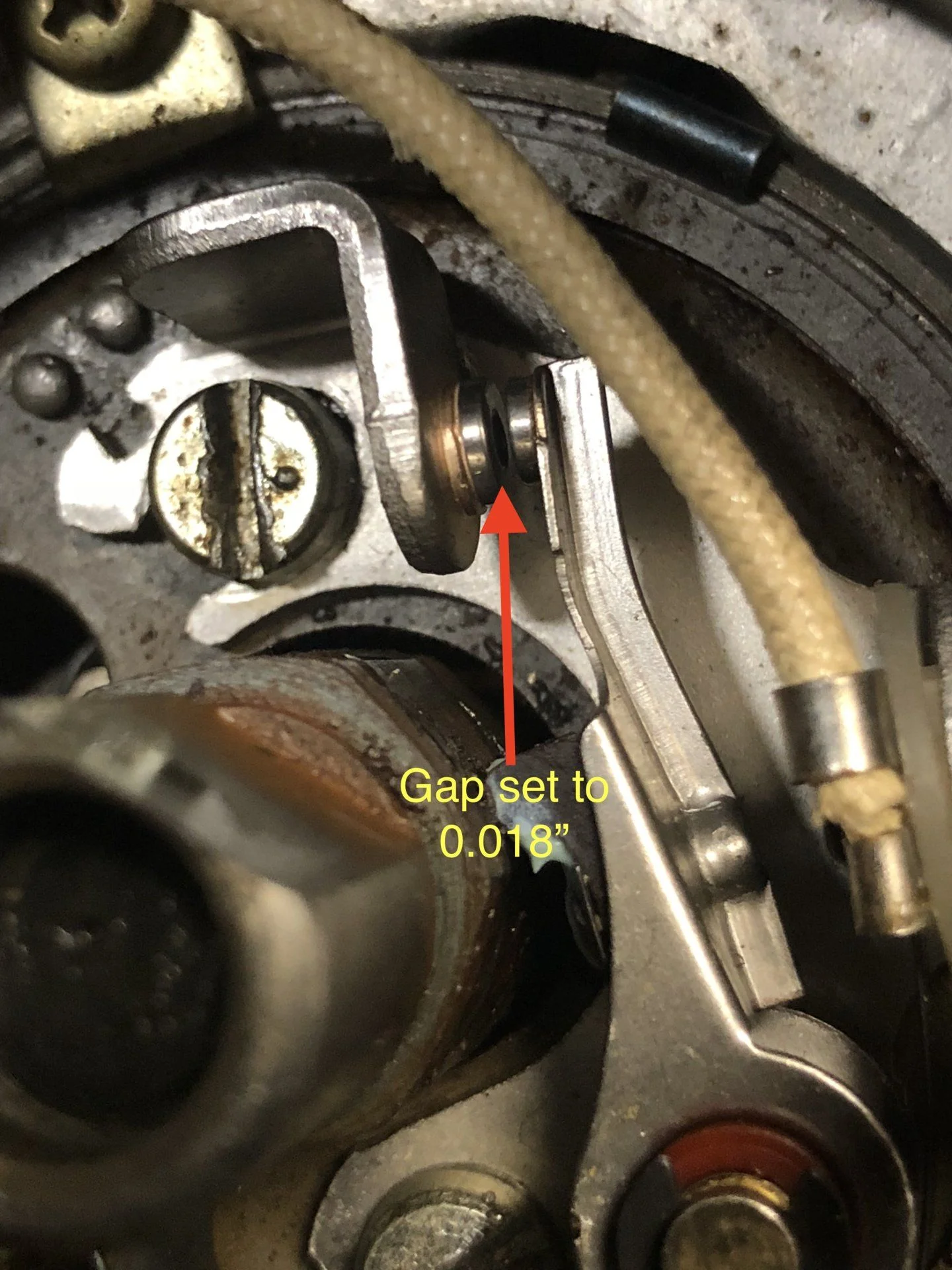 fullsizeoutput_67ec.webp