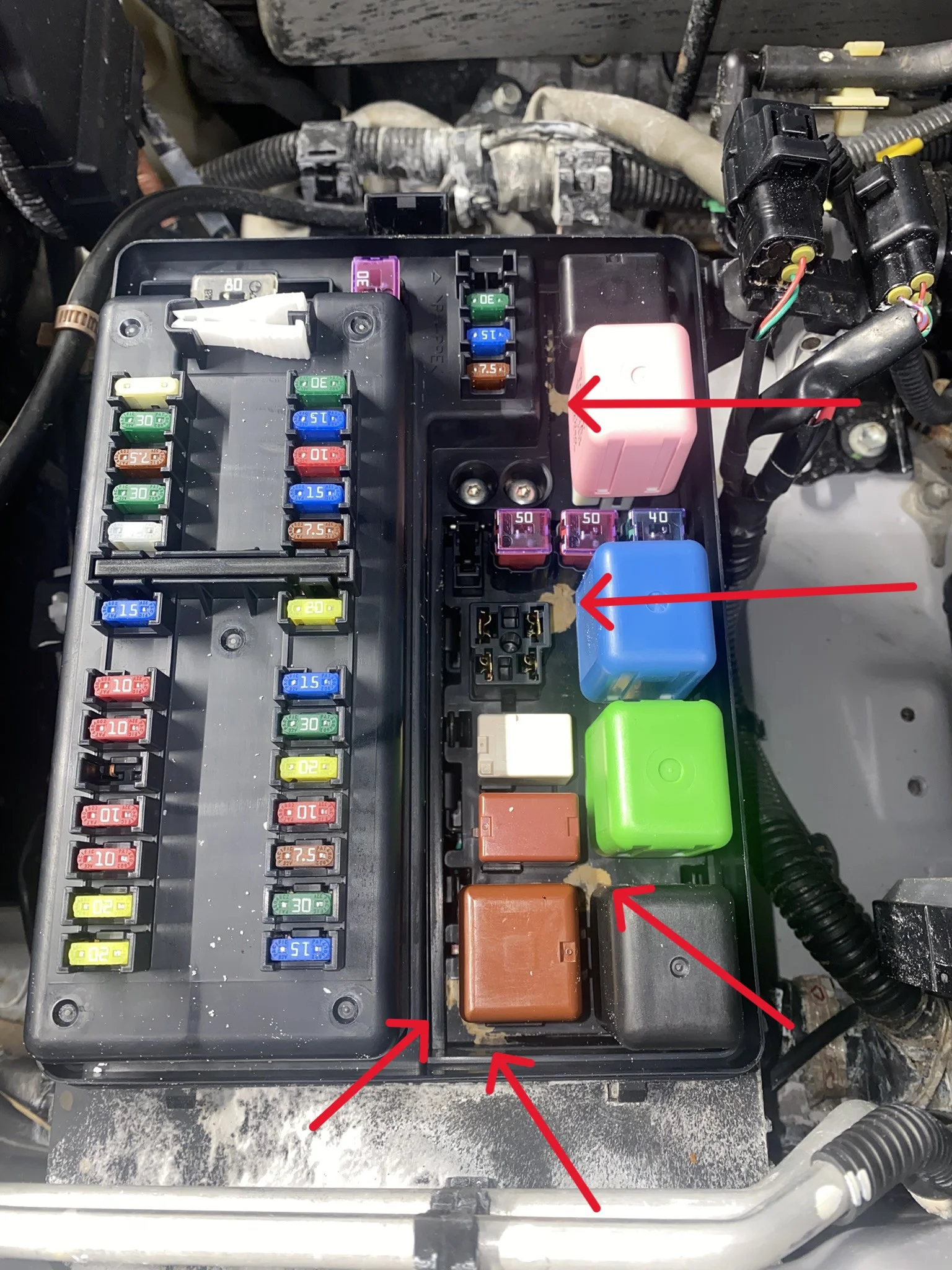 Fuse box main mud.JPEG