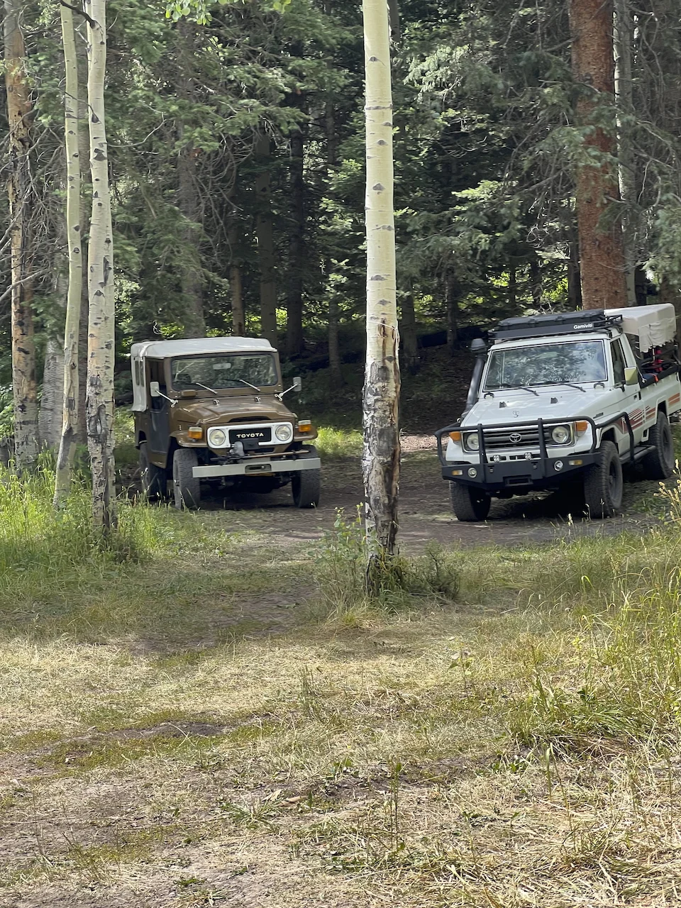 FZJ75AUG2025 SAS - 32.webp
