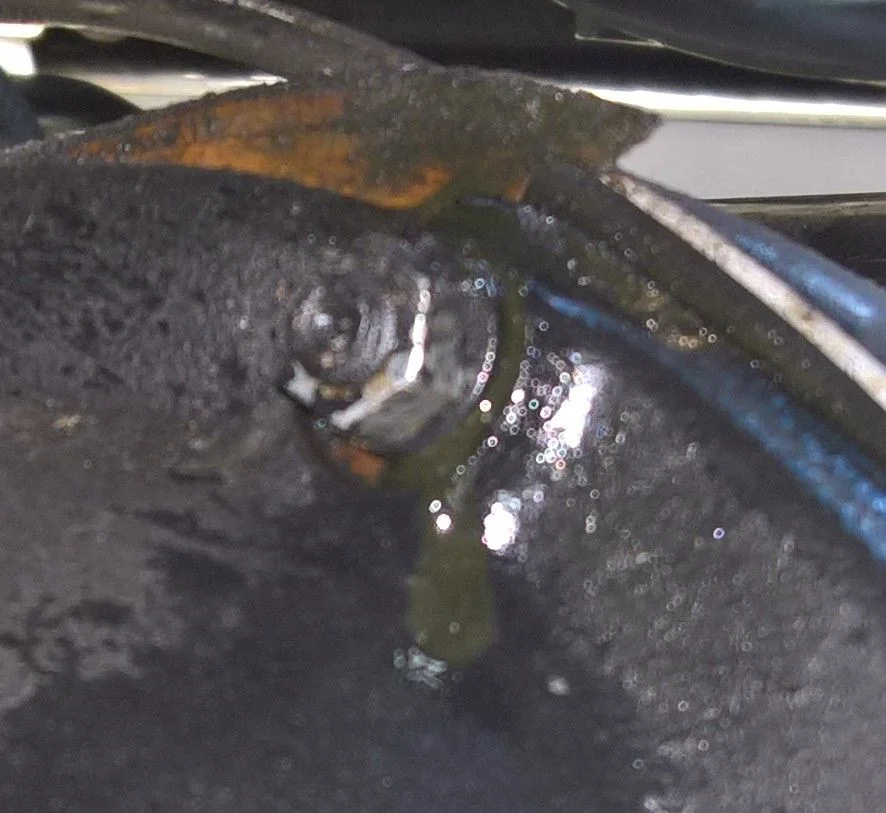 FZJ80 front diff carrier leak top stud cropped.webp