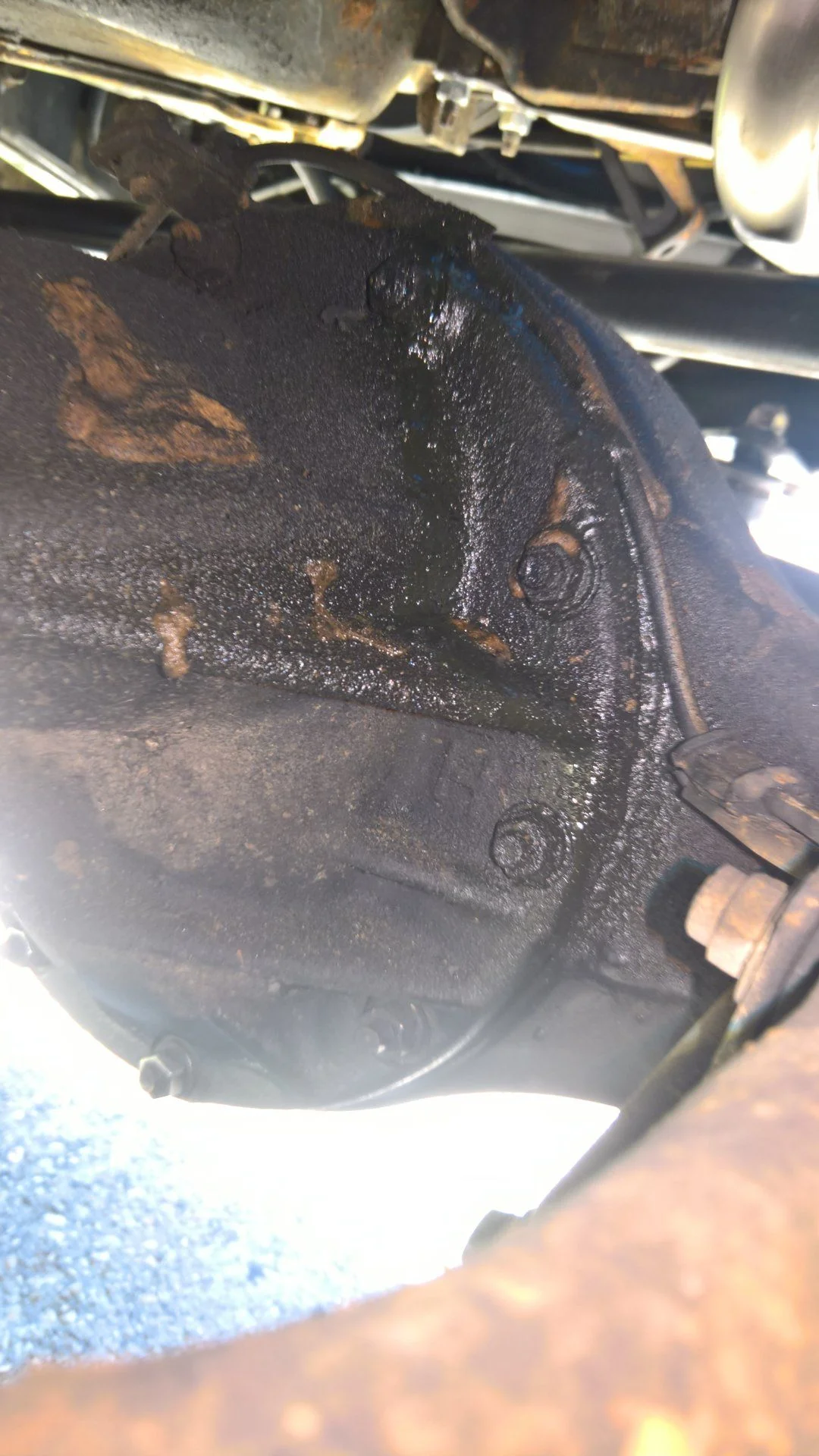 FZJ80 Front Diff Carrier leak.webp