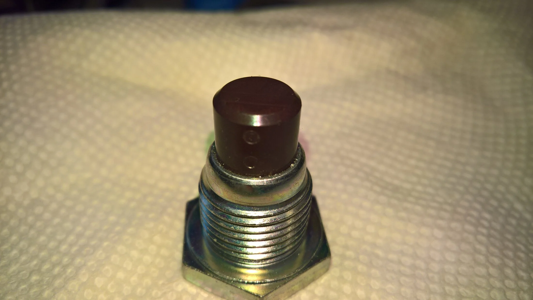 FZJ80 OEM differential drain plug.jpg