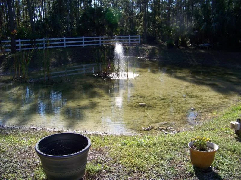 g pond 1.webp