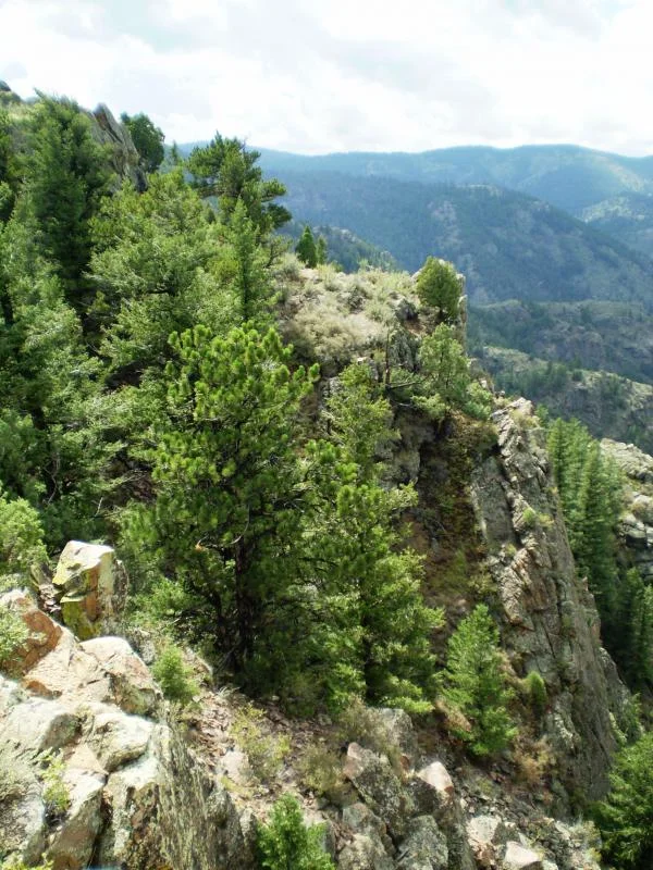 G_West view top of Mt. Zion.webp