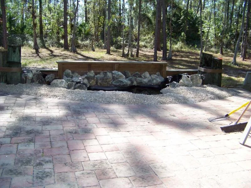 Garden Pond 1.webp
