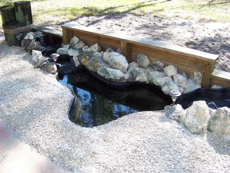 Garden Pond 2.webp