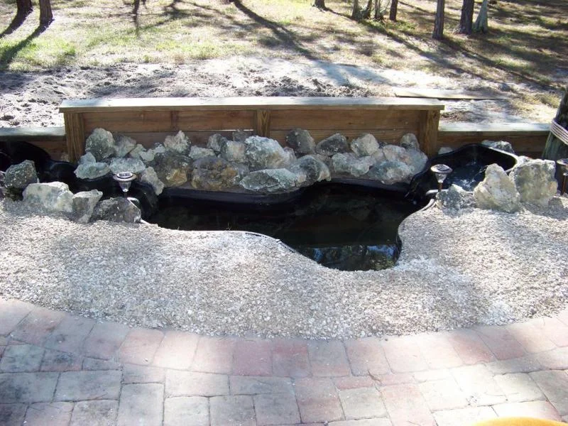 Garden Pond 3.webp