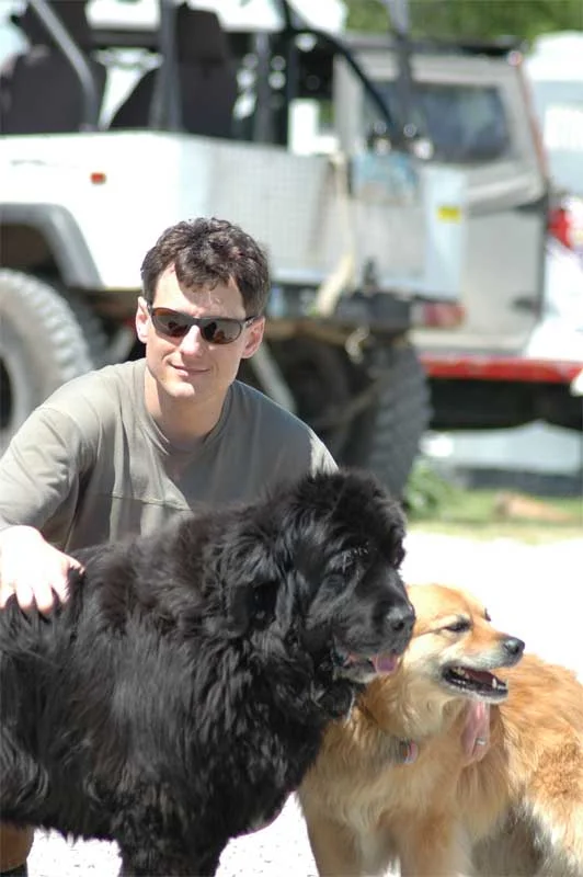 gary-dogs-web.webp