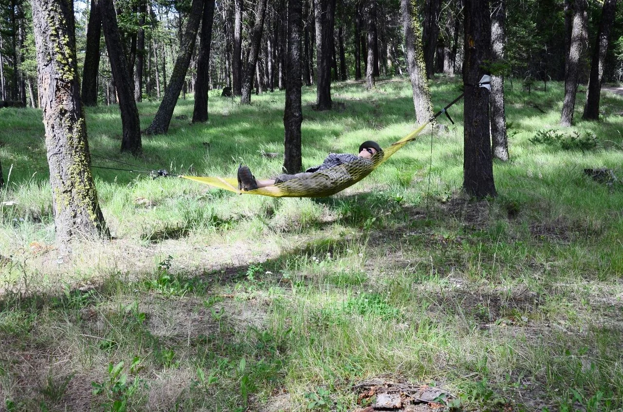 Gary Hammock (1280x848).webp