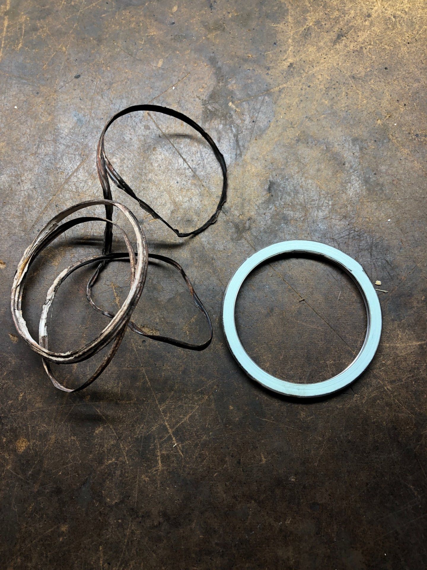 Gasket 1.jpeg
