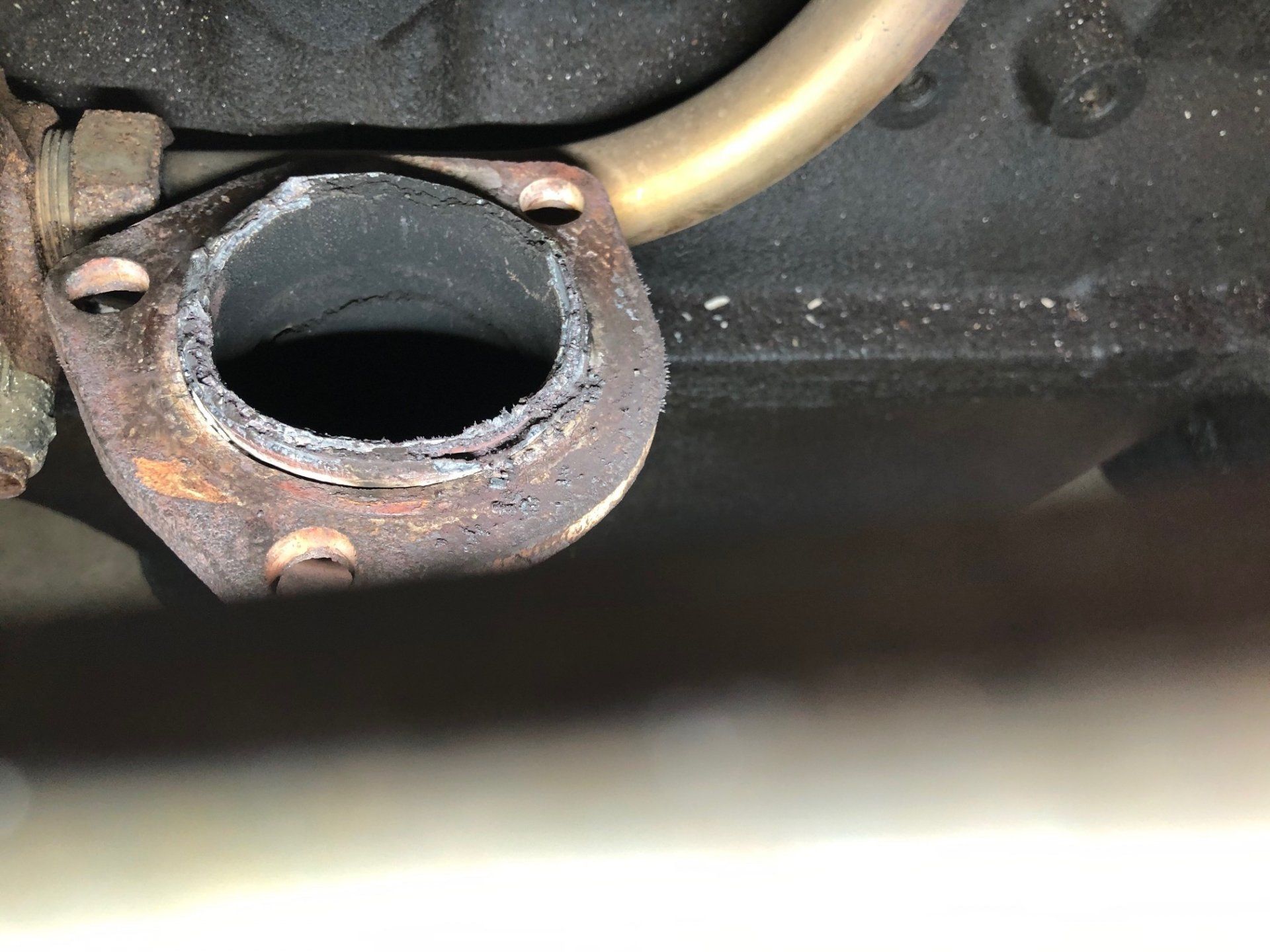 Gasket 2.jpeg