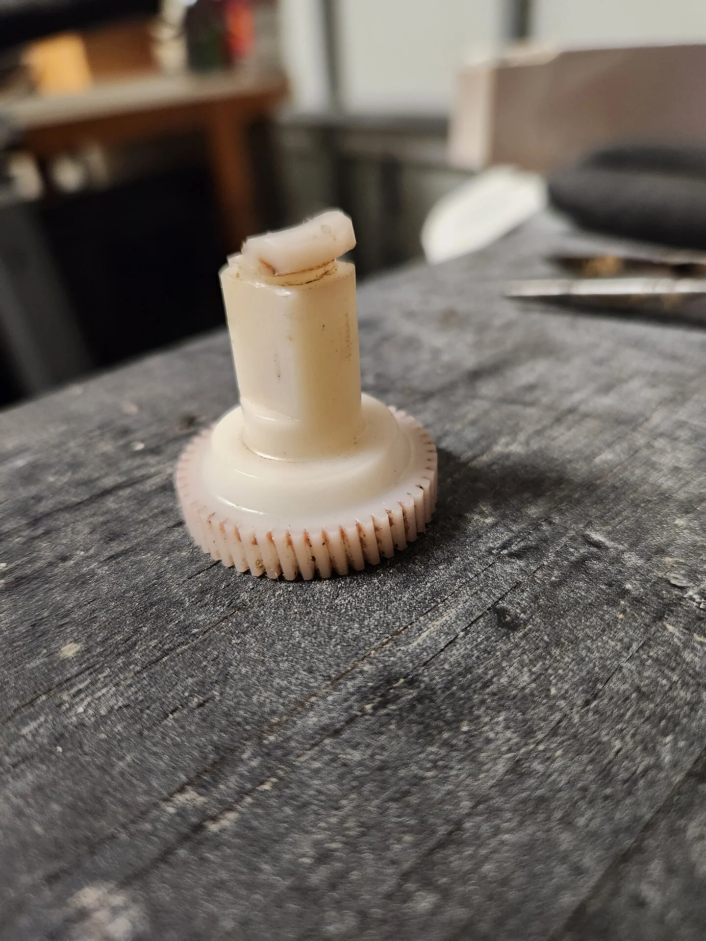 gear.webp
