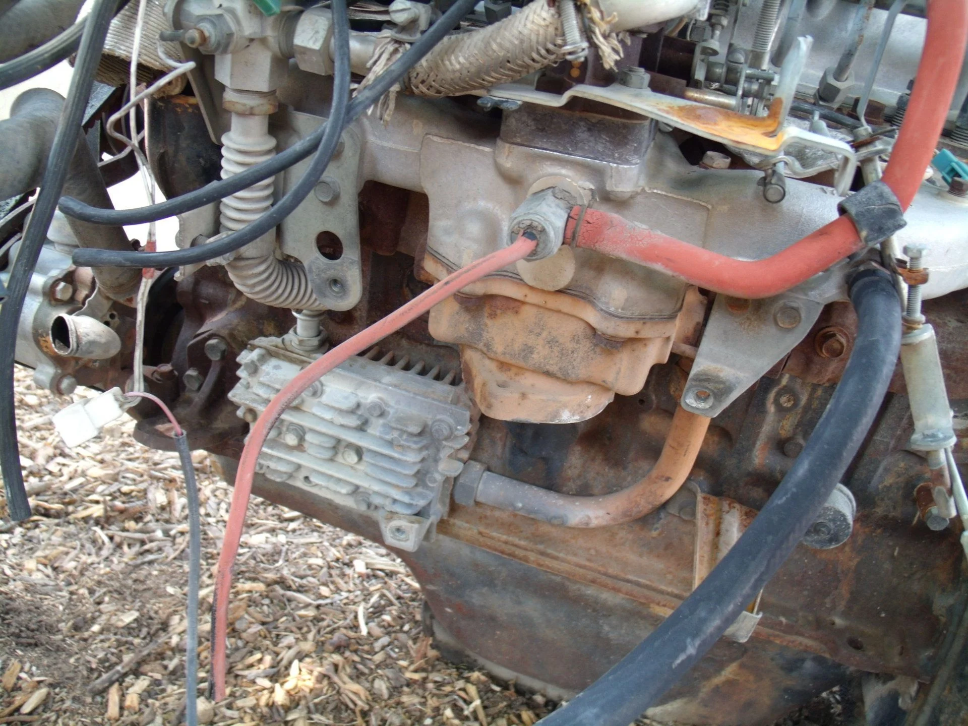 GEDC1506.webp