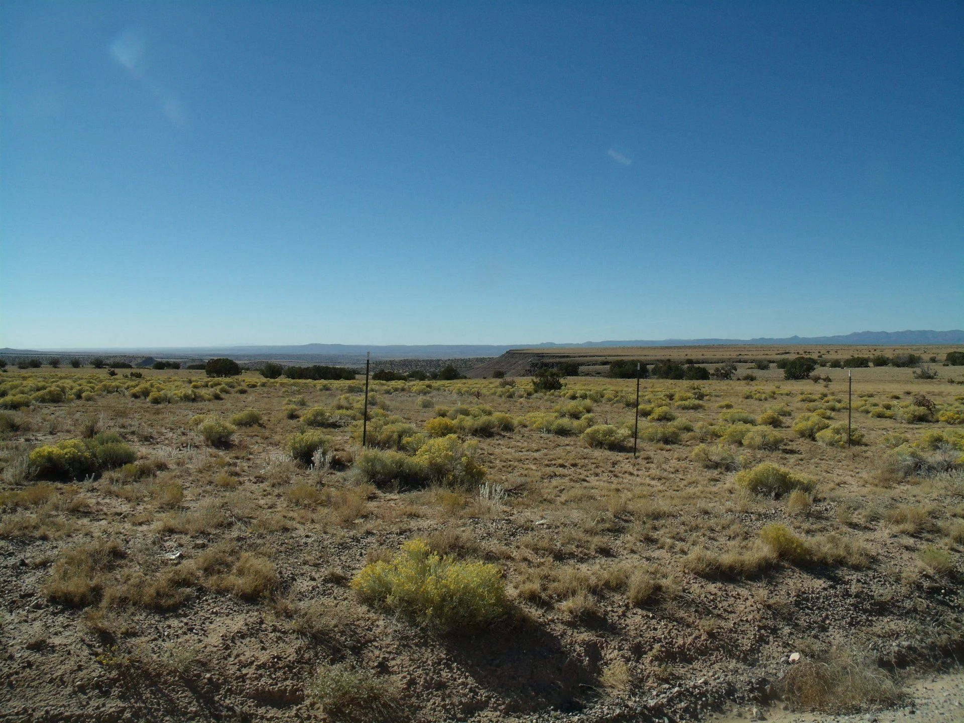 GEDC2158.webp