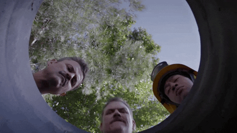 giphy (1).gif