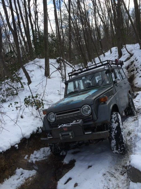 Goat pig in snow.JPG