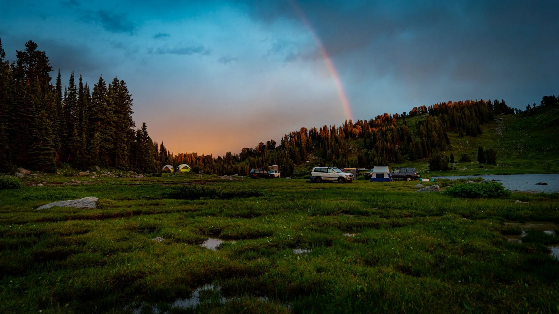 GooseLake2019-05042.webp