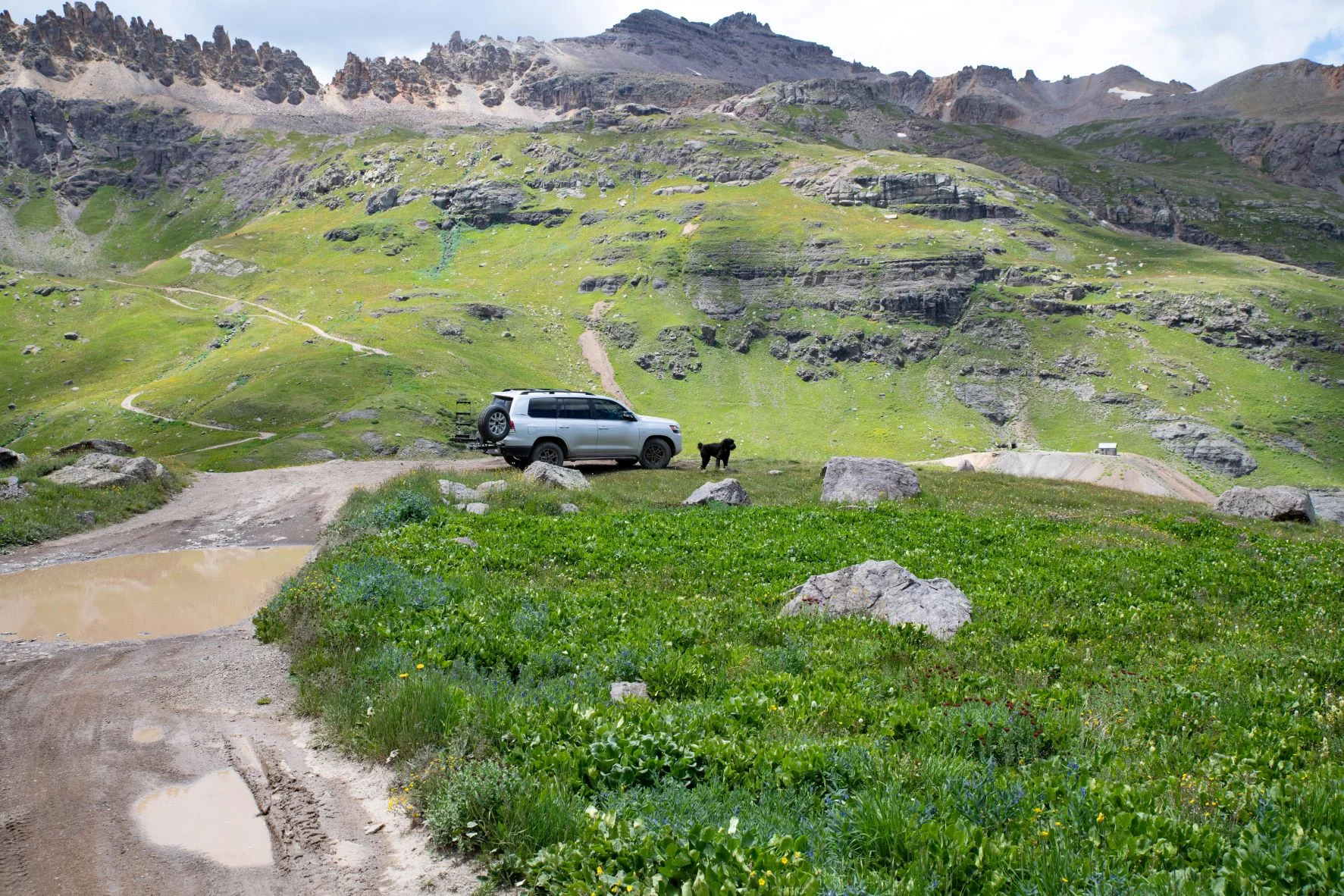 Gov Basin.webp
