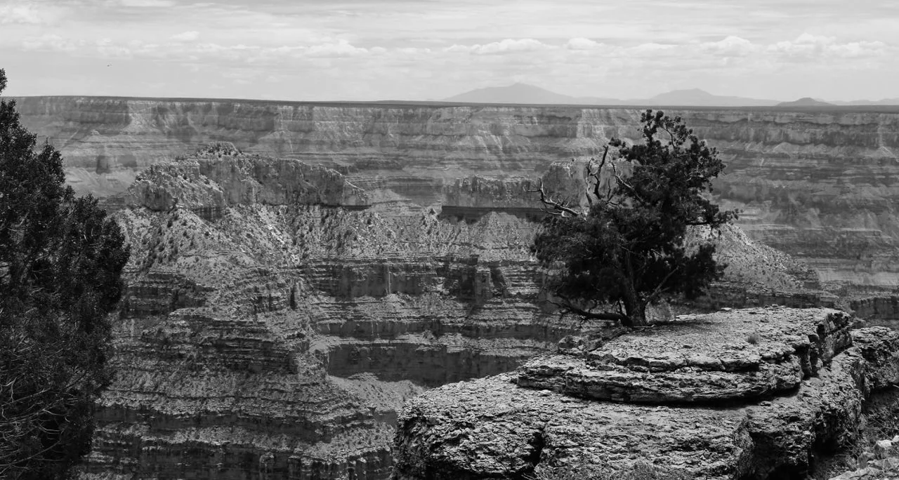 Grand Canyon B&W.webp