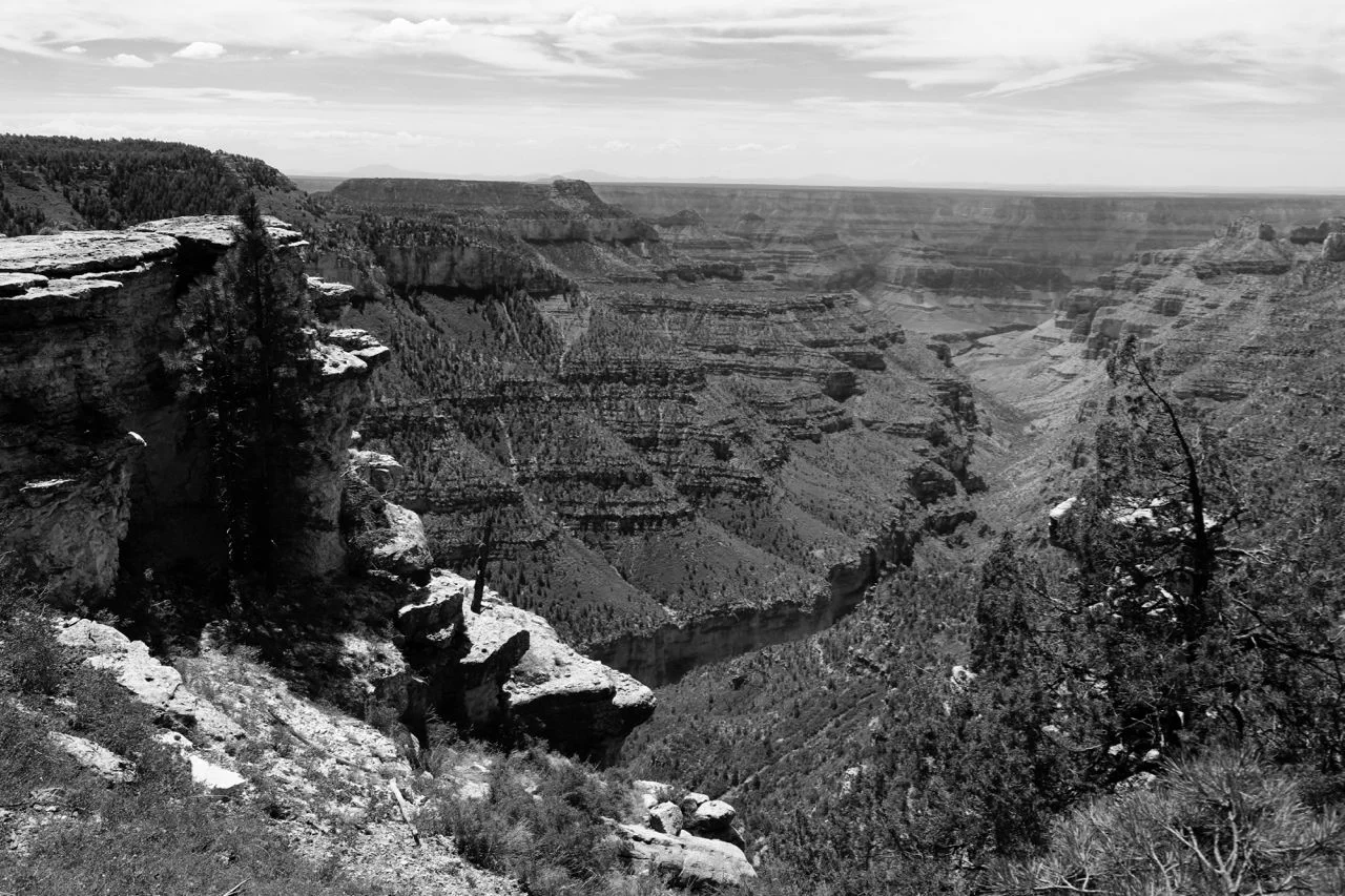 Grand Canyon B&W1.webp