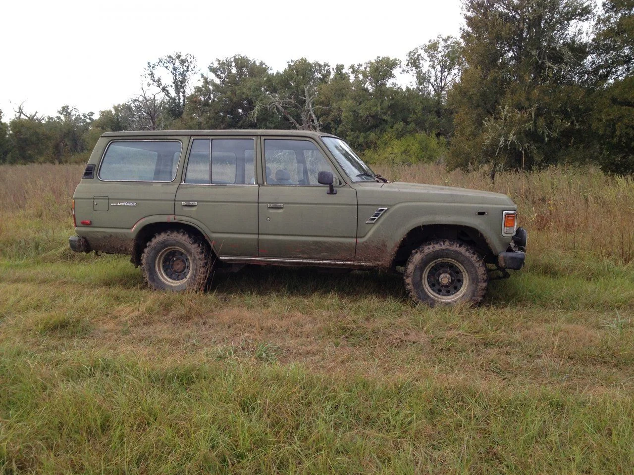Green Cruiser.webp