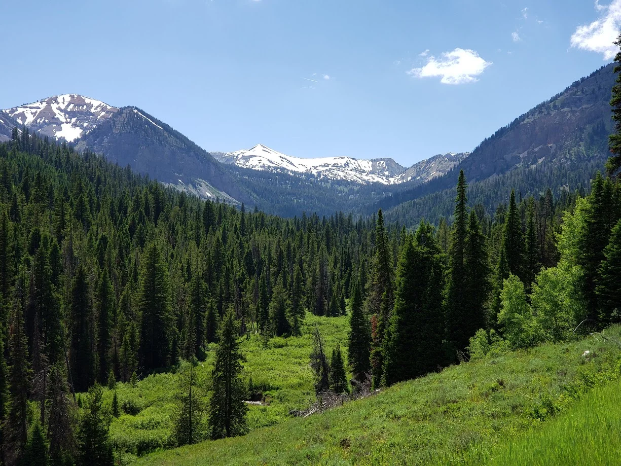 greysriver.jpg