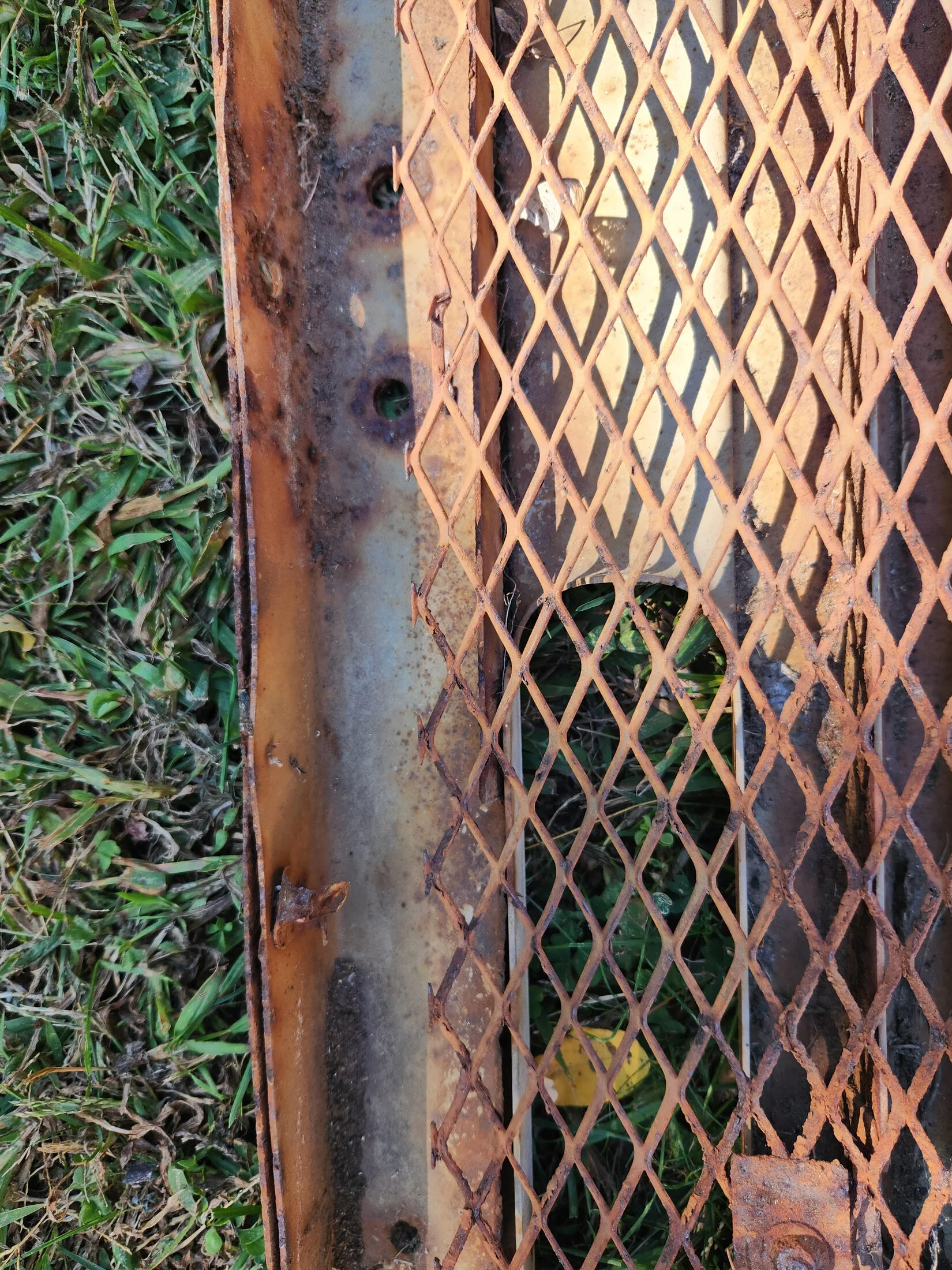 grill4.webp