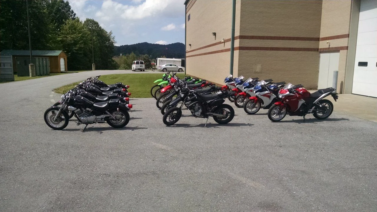group shot.webp
