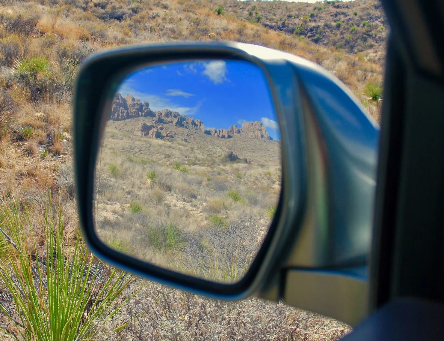 guale rear view.webp