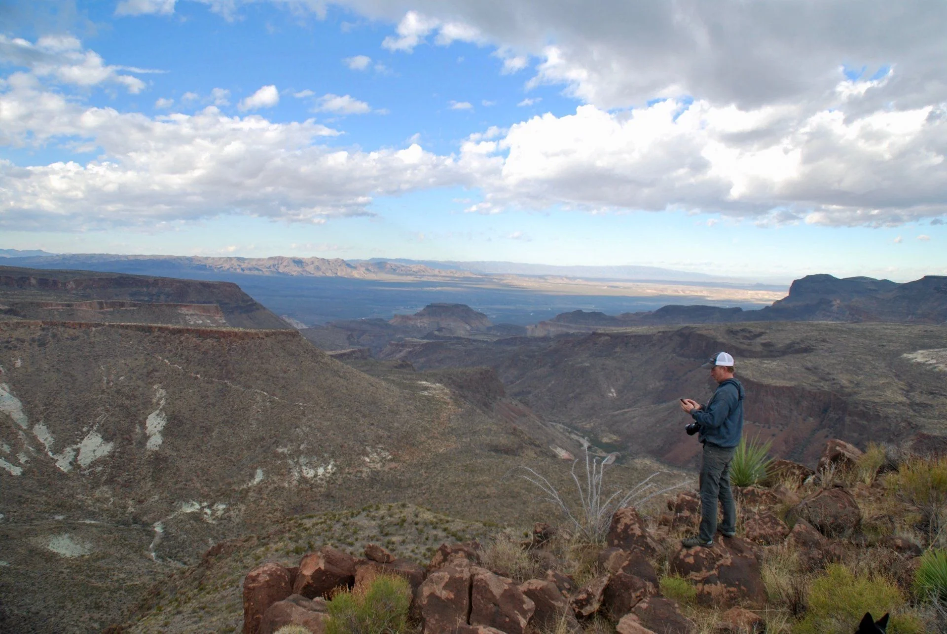 Guale Vista_2.webp
