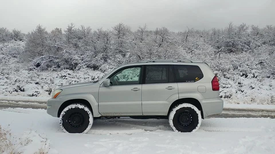 GX-bferg-snow1.webp