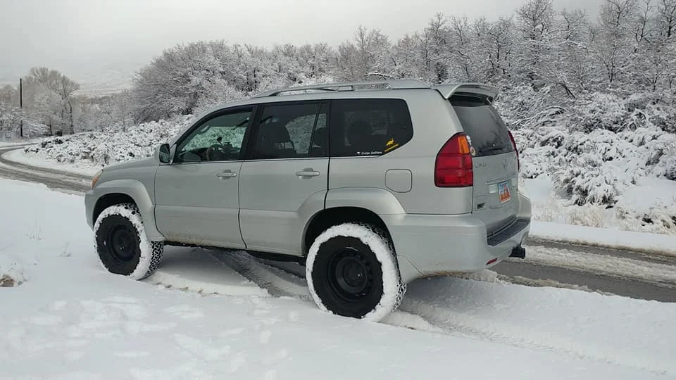 GX-bferg-snow2.webp