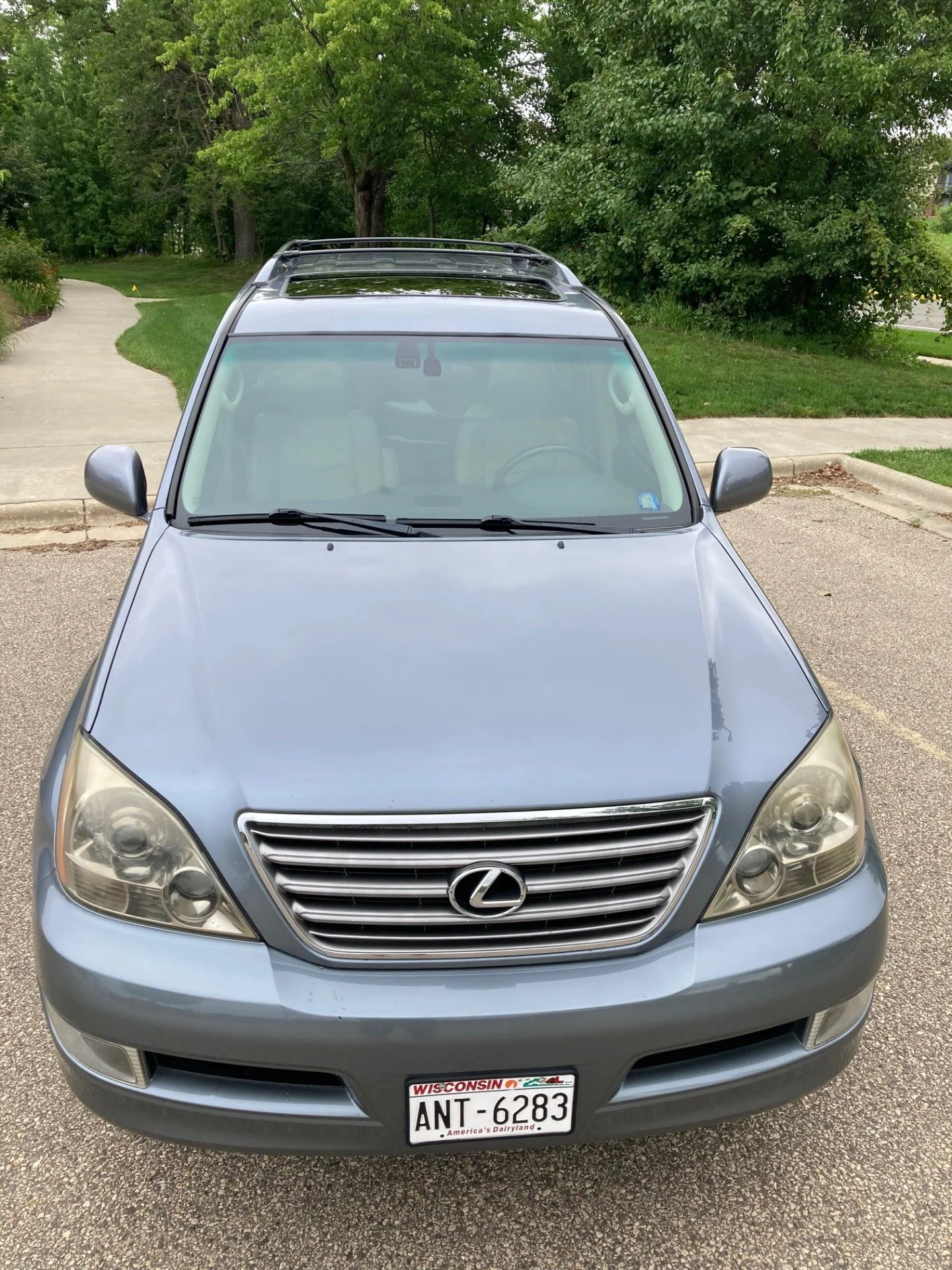 gx nose big.jpg