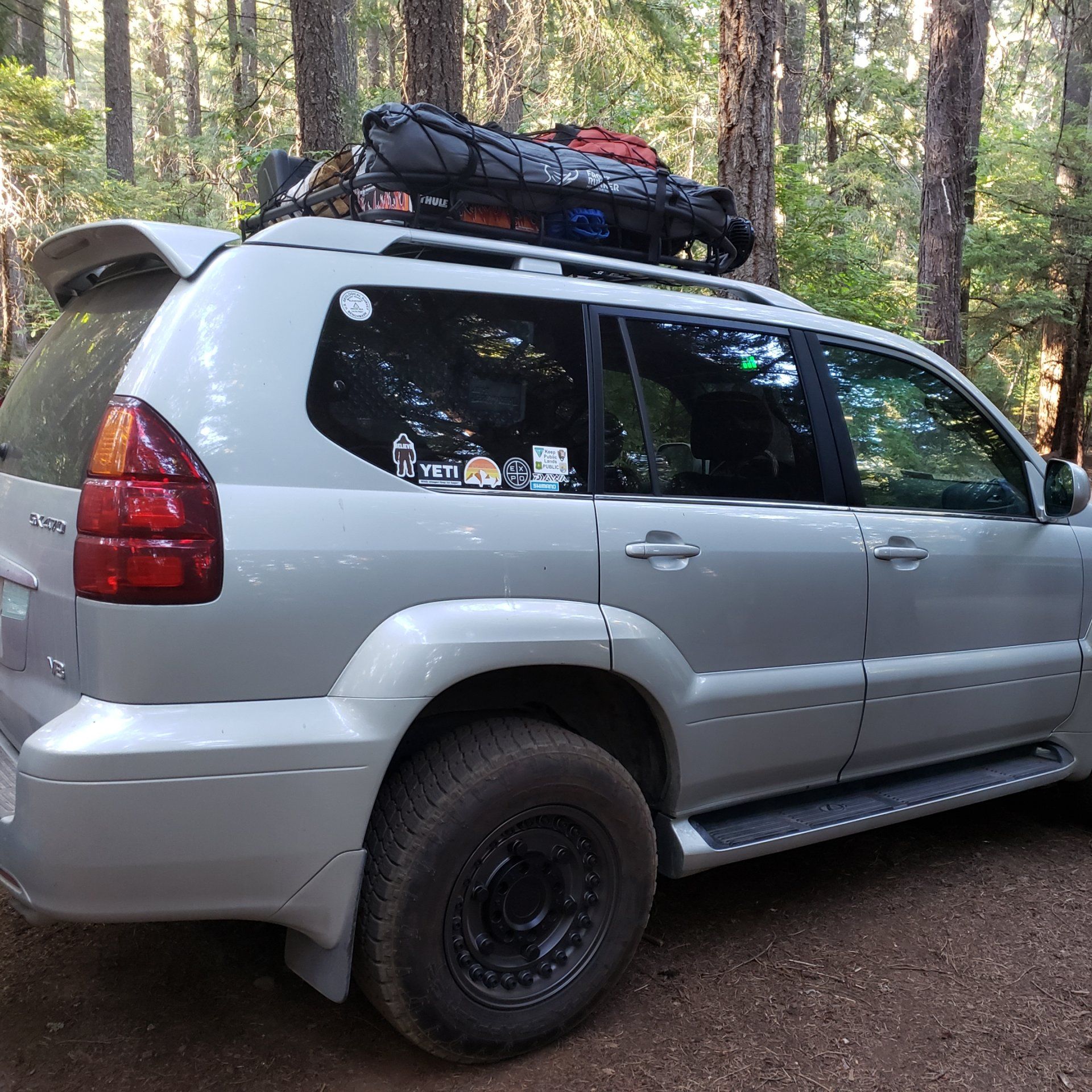 gx shasta 1.jpg