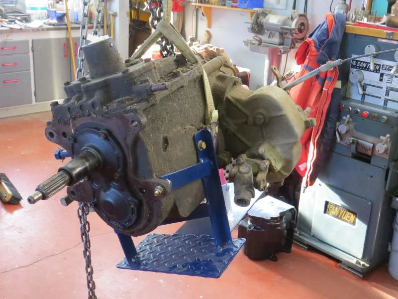 H42 ready for the OR.webp